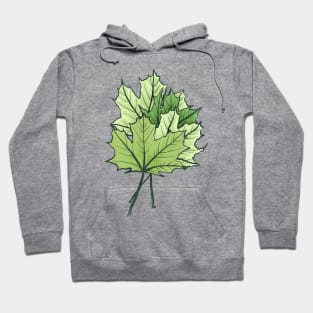 Green Maple Leaves Hoodie